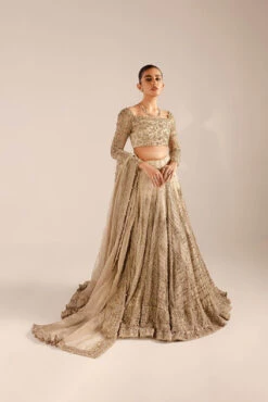 Bridal Lehenga Choli Wedding Dress In Mississauga Ontario