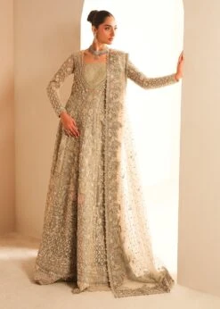 Gown Lehenga Style Silver Grey Pakistani Bridal Dress 16 Gown Lehenga Style Silver Grey Pakistani Bridal Dress -LuxPak Bridal Studio Store ClassicGownLehengaStyleSilverGreyPakistaniBridalDress