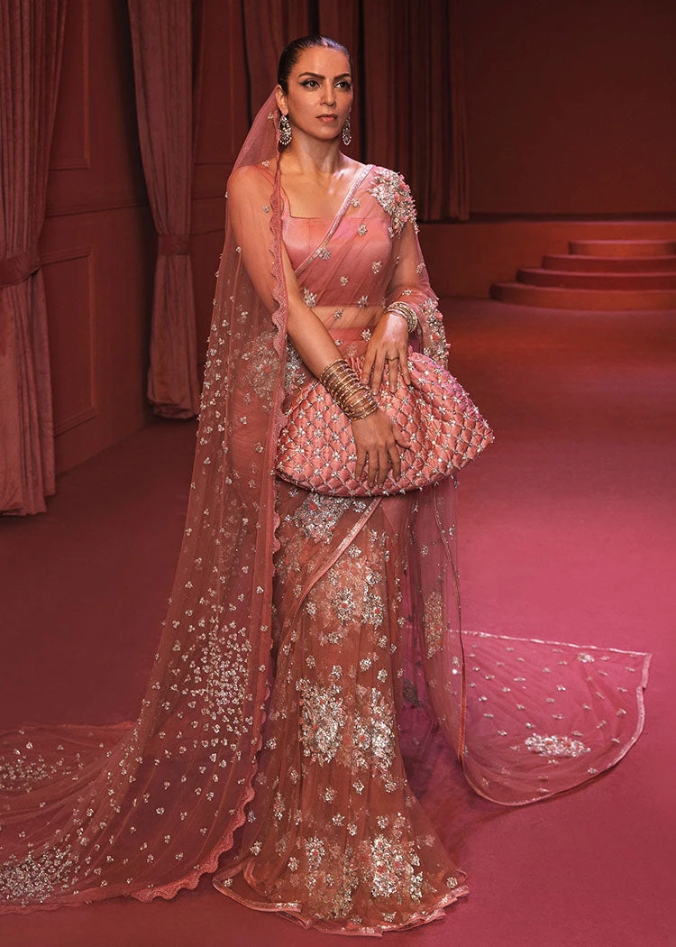 Embellished Rose Gold Saree Dress In Premium Net Fabric 3 Embellished Rose Gold Saree Dress In Premium Net Fabric