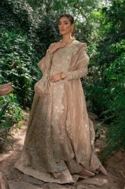 Embellished Pakistani Bridal Dress Brown Pishwas And Long Dresses