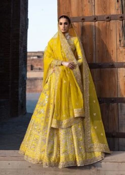 Pakistani Wedding Dress In Lehenga Style For Mehndi