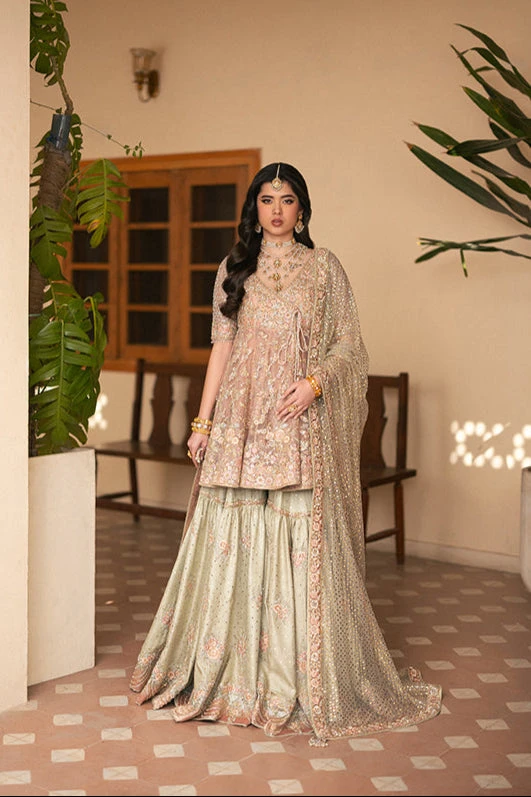 Pakistani Bridal Dress In Kameez Gharara Dupatta Style 3 Pakistani Bridal Dress In Kameez Gharara Dupatta Style