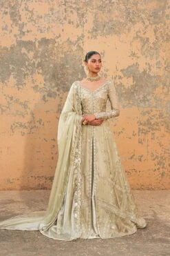 Shop Pakistani Bridal Lehenga Gown Dress In Mississauga Canada