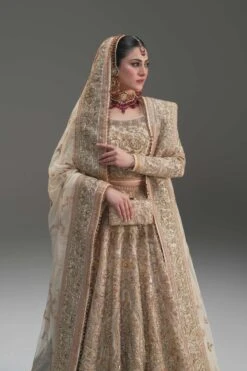 Pakistani Wedding Dress In Net Choli And Lehenga Style -LuxPak Bridal Studio Store PakistaniWeddingDressinNetCholiandLehengaStyleOnline