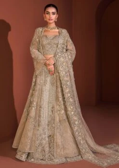 Lehenga Choli Gown And Dupatta Pakistani Bridal Dress