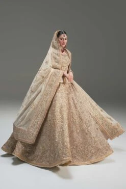 Pakistani Wedding Dress In Net Choli And Lehenga Style -LuxPak Bridal Studio Store PremiumPakistaniWeddingDressinNetCholiandLehengaStyle