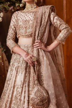 Pakistani Bridal Dress In Tissue Choli Lehenga Style -LuxPak Bridal Studio Store TrendyPakistaniBridalDressinTissueCholiLehengaStyle