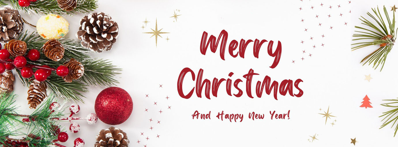 LuxPak Bridal Studio Store -LuxPak Bridal Studio Store 96